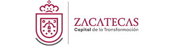 Municipio Zacatecas